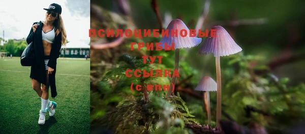 кокаин премиум Богданович