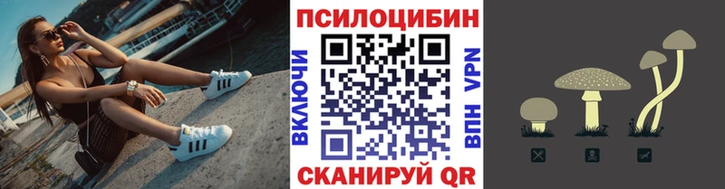 blacksprut маркетплейс  Кодинск  Псилоцибиновые грибы GOLDEN TEACHER 
